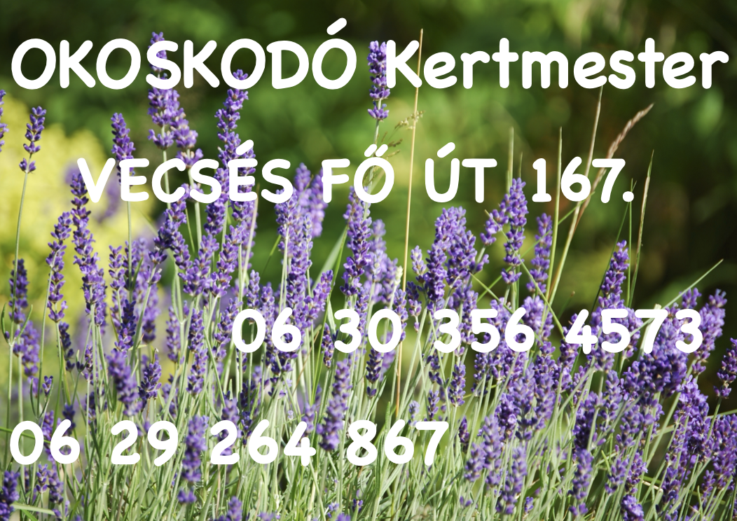 OKOSKODÓ_Kertmester